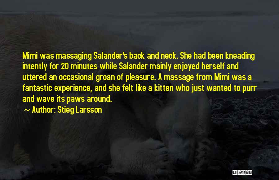 Salander Quotes By Stieg Larsson