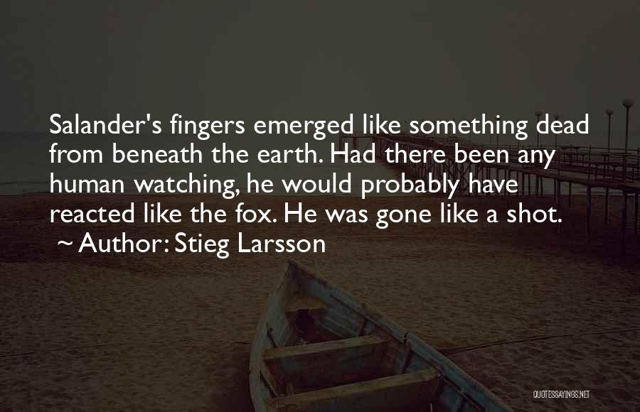 Salander Quotes By Stieg Larsson