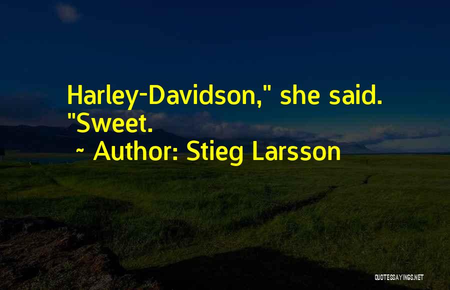 Salander Quotes By Stieg Larsson