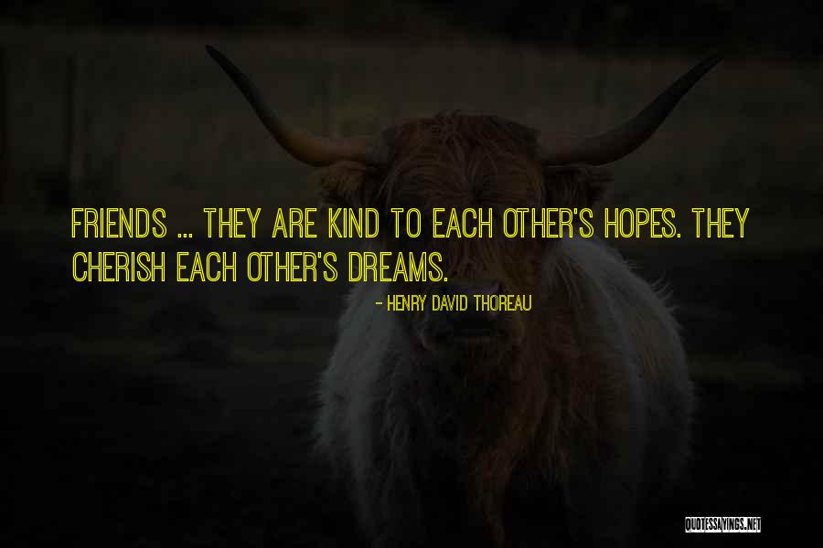 Salant Foundation Quotes By Henry David Thoreau Salant Foundation Quotes By Henry David Thoreau