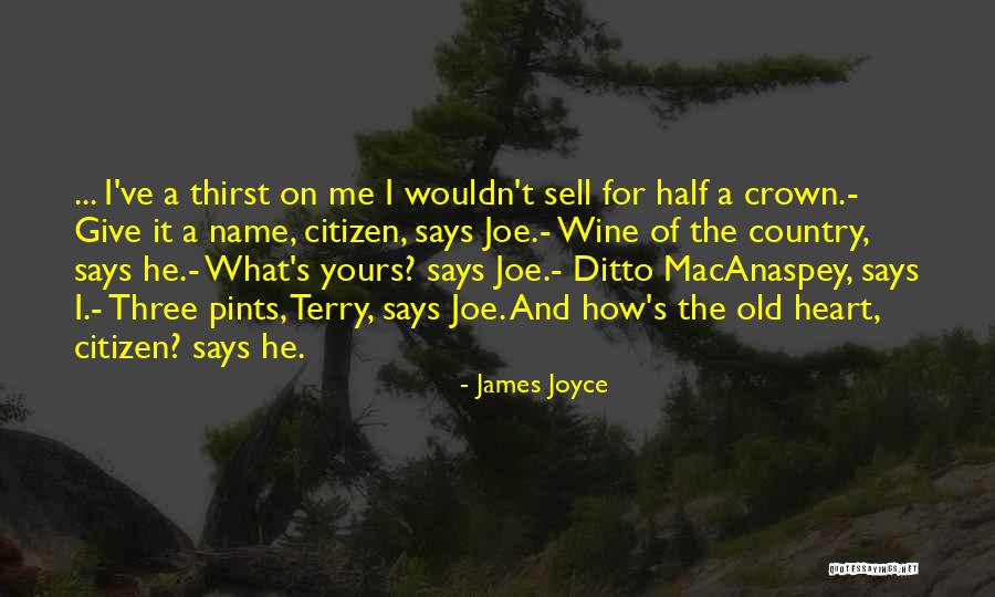 Salanter Bank Quotes By James Joyce Salanter Bank Quotes By James Joyce