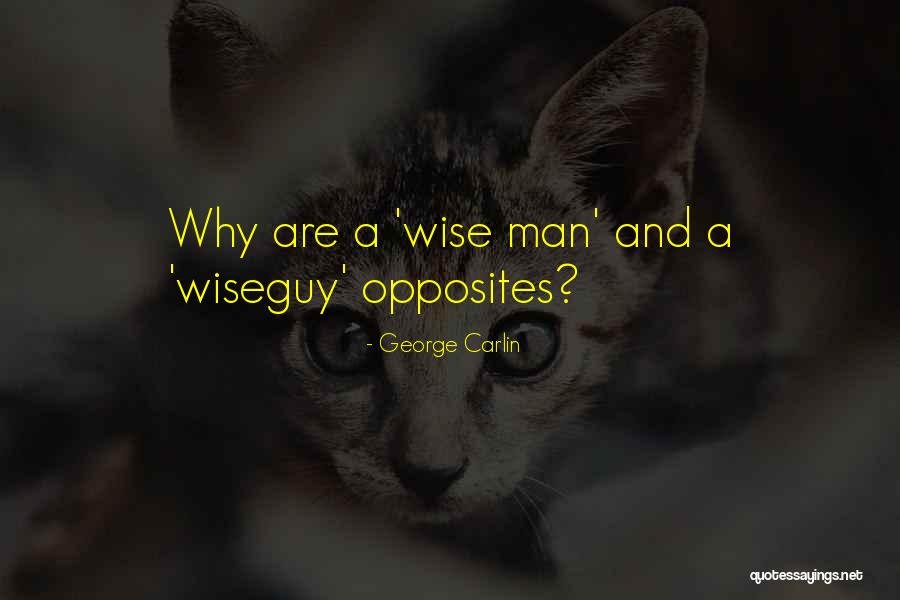 Salatino John Quotes By George Carlin Salatino John Quotes By George Carlin
