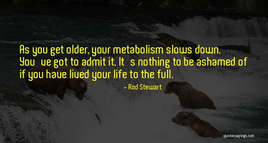 Salazar Construction Quotes By Rod Stewart Salazar Construction Quotes By Rod Stewart