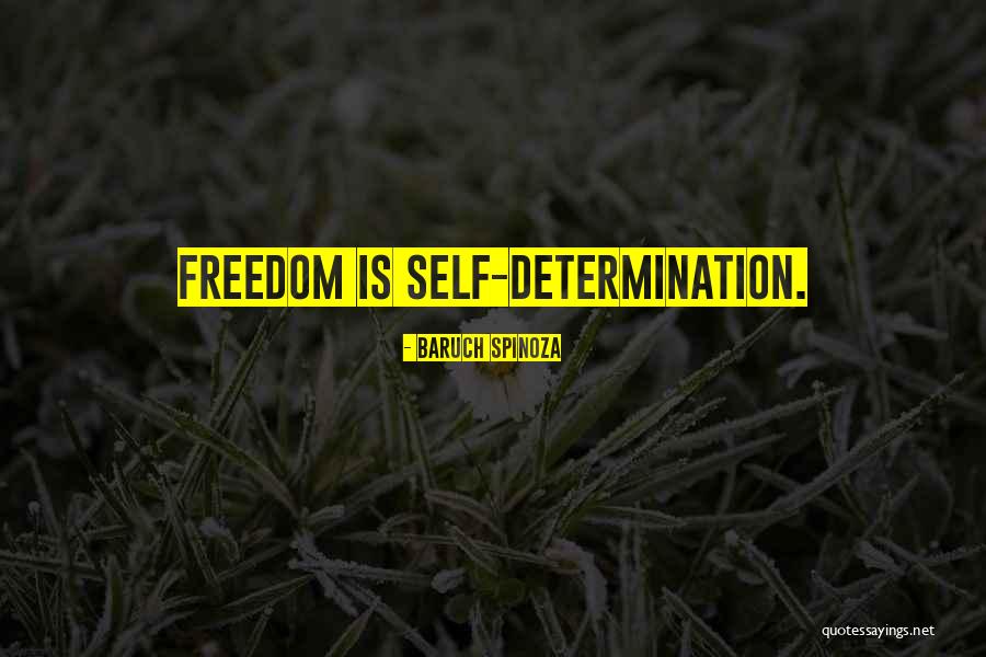 Salcedo Quotes By Baruch Spinoza Salcedo Quotes By Baruch Spinoza