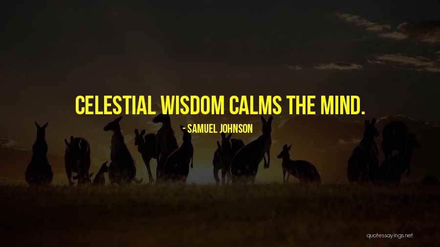 Saleema Noon Quotes By Samuel Johnson