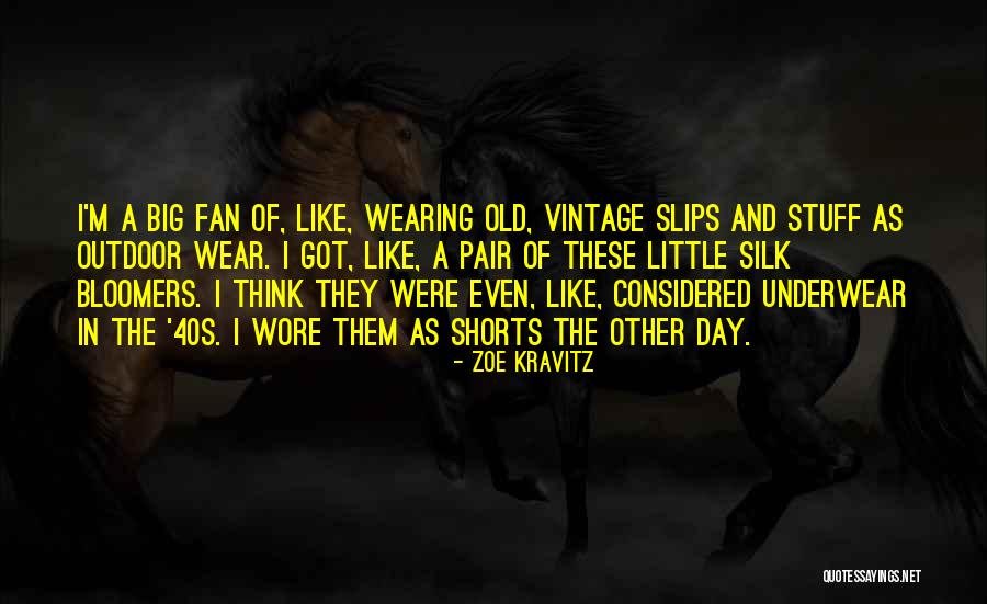 Saleema Noon Quotes By Zoe Kravitz Saleema Noon Quotes By Zoe Kravitz