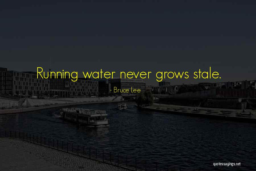 Saleema Sheikh Quotes By Bruce Lee Saleema Sheikh Quotes By Bruce Lee