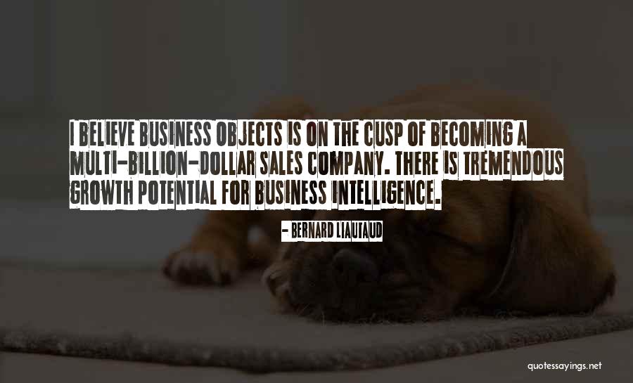 Sales Growth Quotes By Bernard Liautaud