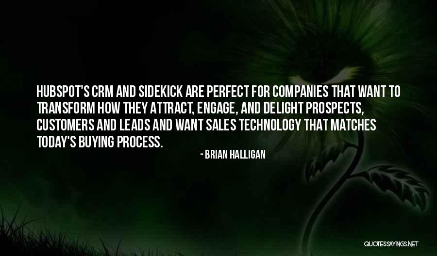 Sales Process Quotes By Brian Halligan