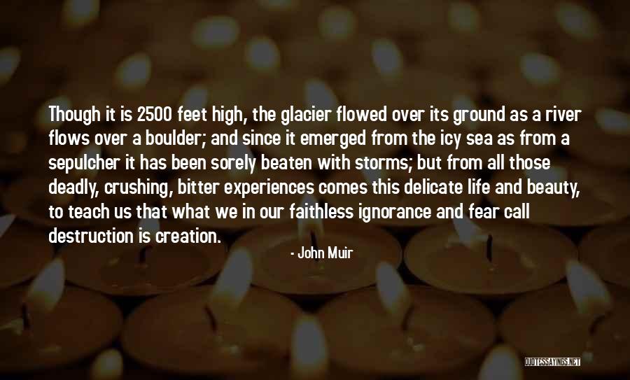Salesses Quotes By John Muir Salesses Quotes By John Muir