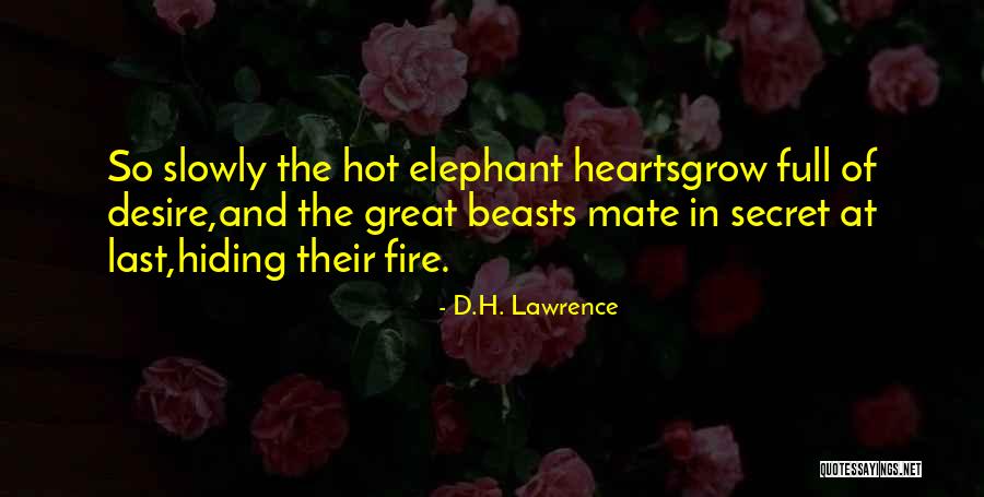 Salette Latas Quotes By D.H. Lawrence Salette Latas Quotes By D.H. Lawrence