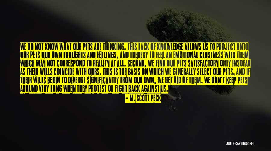 Salette Quotes By M. Scott Peck Salette Quotes By M. Scott Peck