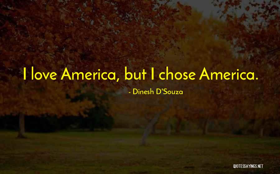 Salgada Photography Quotes By Dinesh D'Souza Salgada Photography Quotes By Dinesh D'Souza