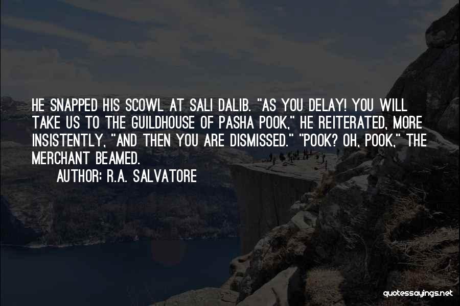 Sali Quotes By R.A. Salvatore