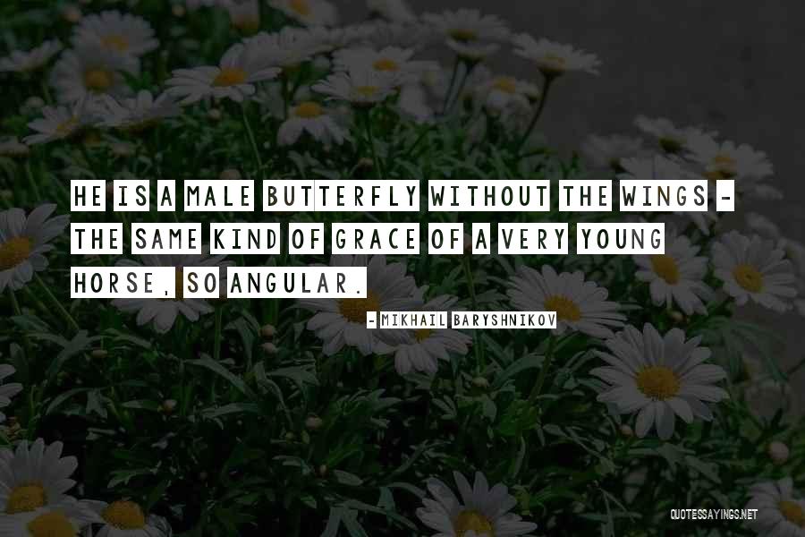 Salibi War Quotes By Mikhail Baryshnikov Salibi War Quotes By Mikhail Baryshnikov