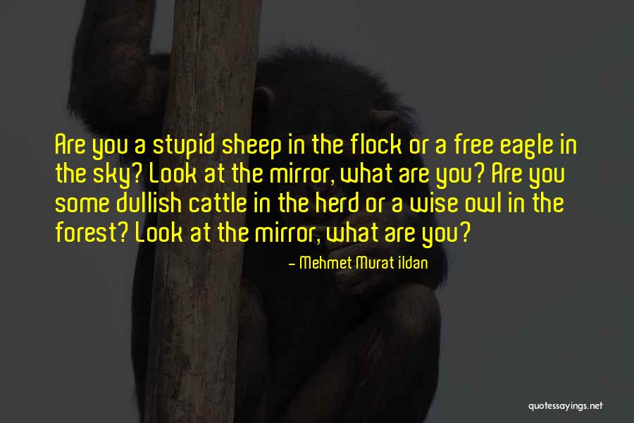Salience Synonyms Quotes By Mehmet Murat Ildan Salience Synonyms Quotes By Mehmet Murat Ildan