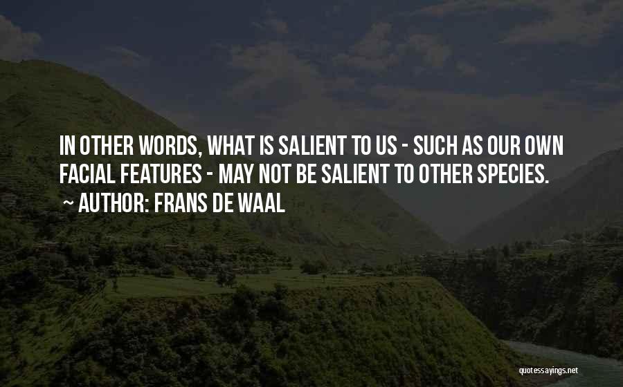 Salient Quotes By Frans De Waal