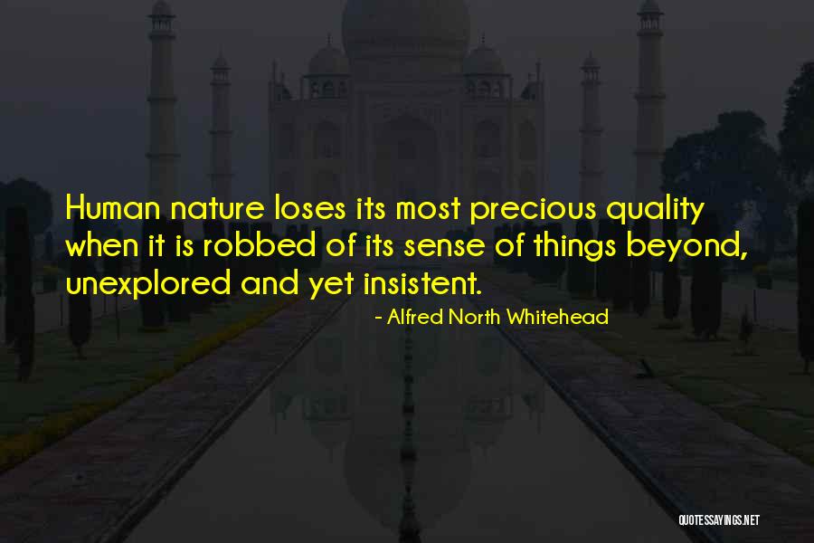 Salingers Farm Quotes By Alfred North Whitehead Salingers Farm Quotes By Alfred North Whitehead