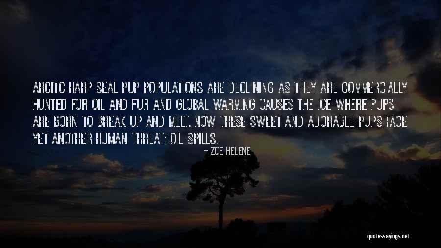 Salingers For With Love Quotes By Zoe Helene Salingers For With Love Quotes By Zoe Helene