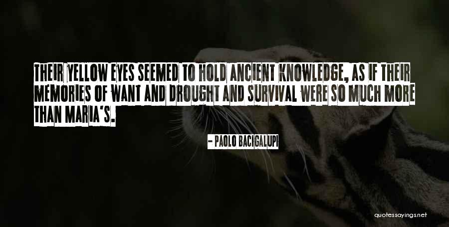 Salinity Measurement Quotes By Paolo Bacigalupi Salinity Measurement Quotes By Paolo Bacigalupi