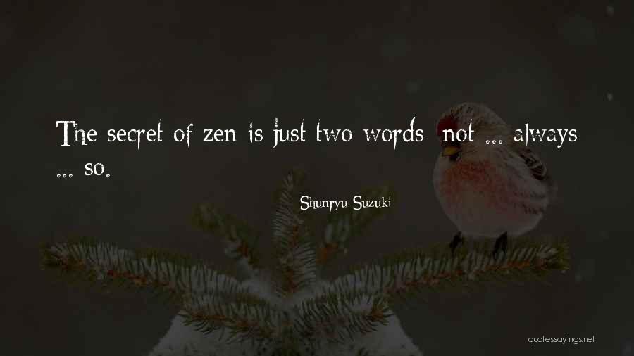 Saljive Quotes By Shunryu Suzuki Saljive Quotes By Shunryu Suzuki