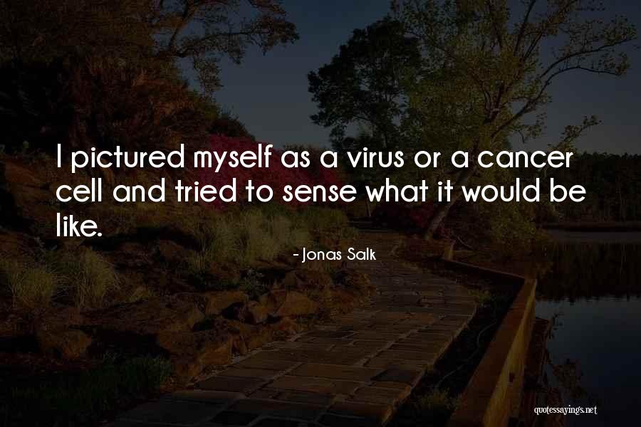 Salk Quotes By Jonas Salk Salk Quotes By Jonas Salk