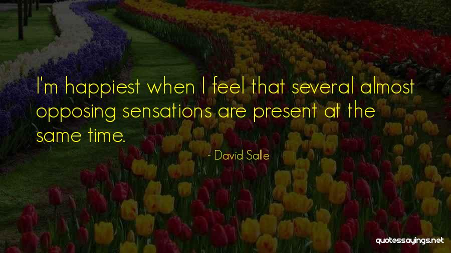 Salle Quotes By David Salle Salle Quotes By David Salle