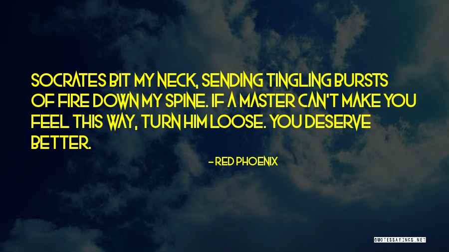 Saller Lord Quotes By Red Phoenix Saller Lord Quotes By Red Phoenix