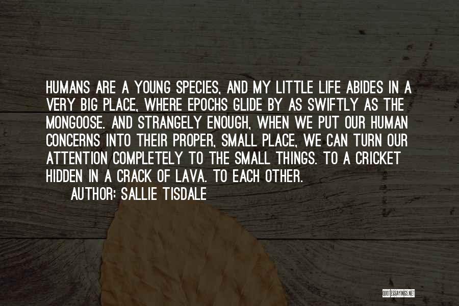 Sallie Tisdale Quotes 1712248