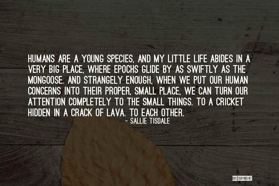 Sallie Tisdale Quotes 1712248 Sallie Tisdale Quotes 1712248