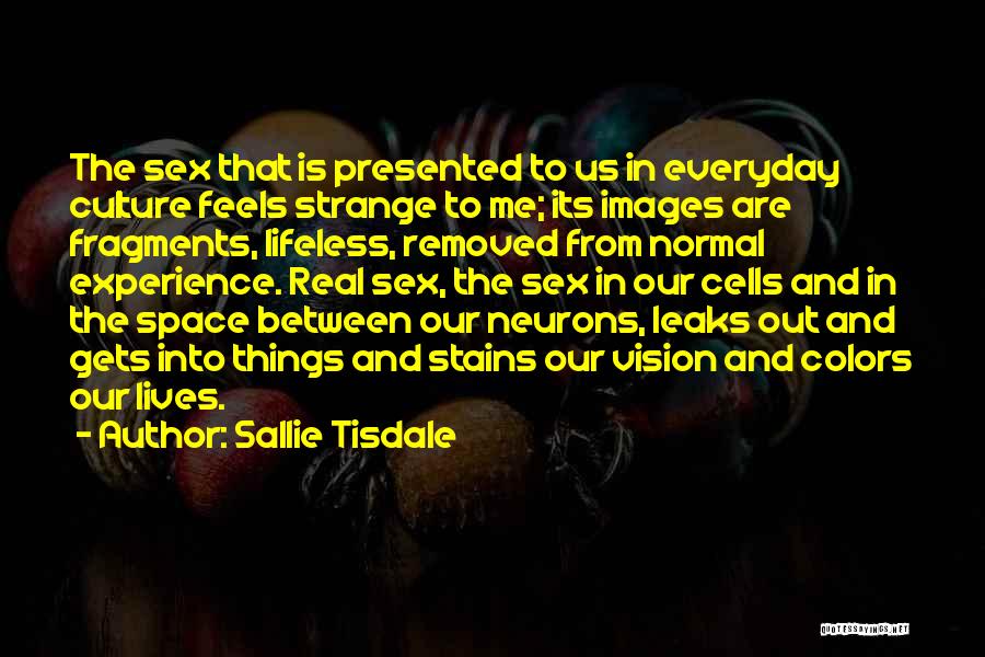 Sallie Tisdale Quotes 956333