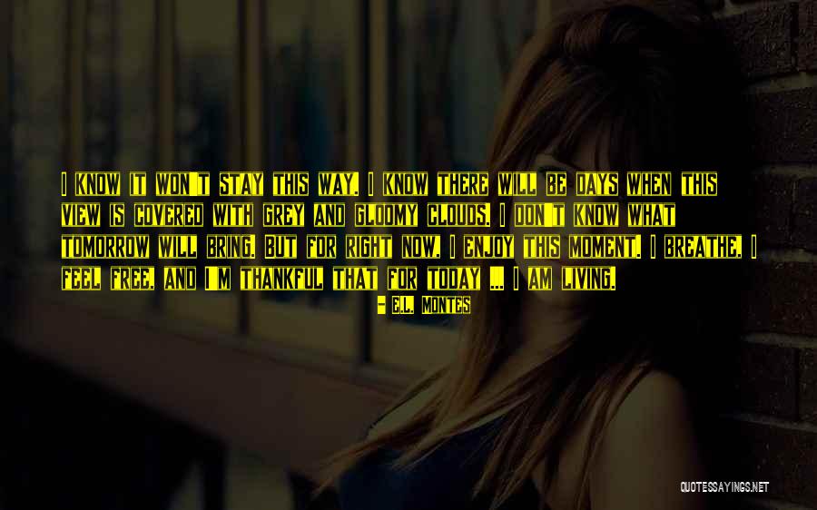 Sallies Quotes By E.L. Montes Sallies Quotes By E.L. Montes