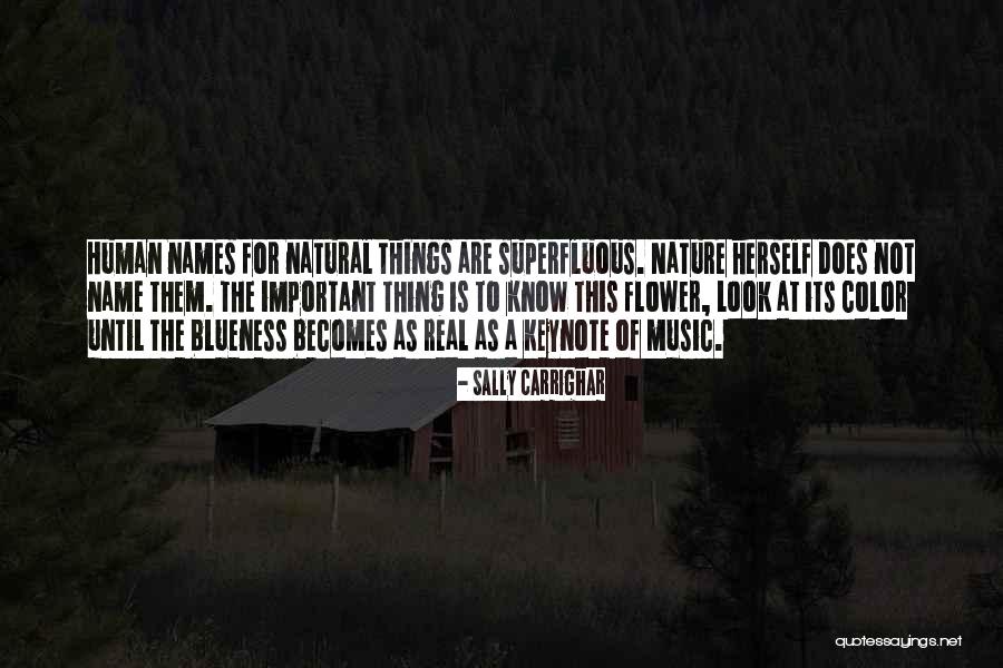 Sally Carrighar Quotes 1539237 Sally Carrighar Quotes 1539237