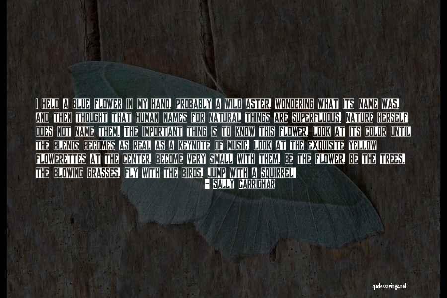 Sally Carrighar Quotes 1861571 Sally Carrighar Quotes 1861571