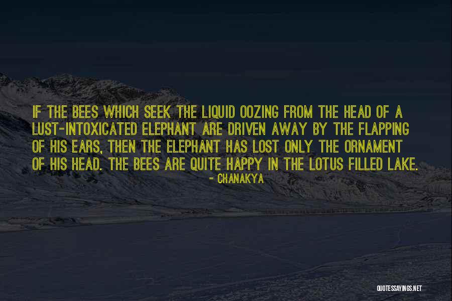 Sally Cinnamon Quotes By Chanakya Sally Cinnamon Quotes By Chanakya