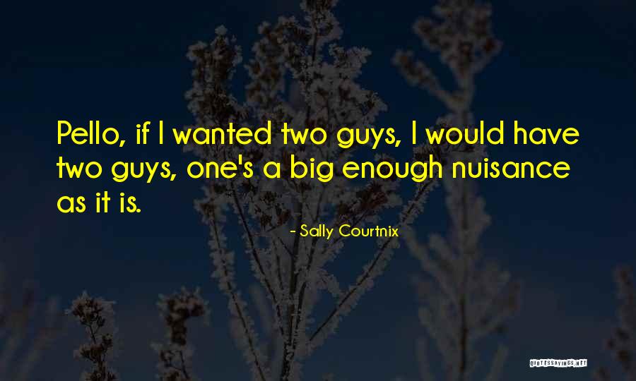 Sally Courtnix Quotes 1490138