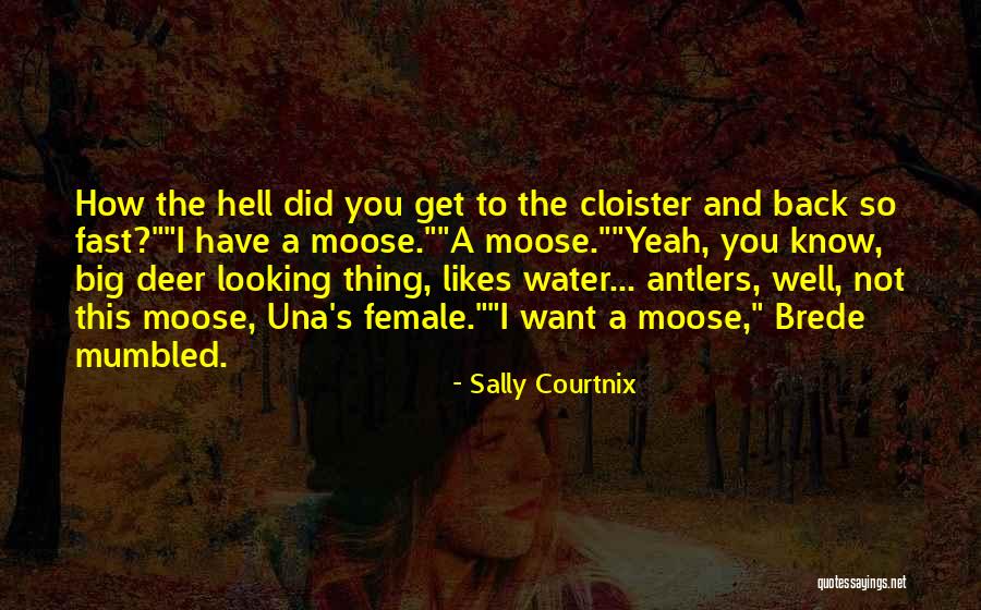 Sally Courtnix Quotes 978504