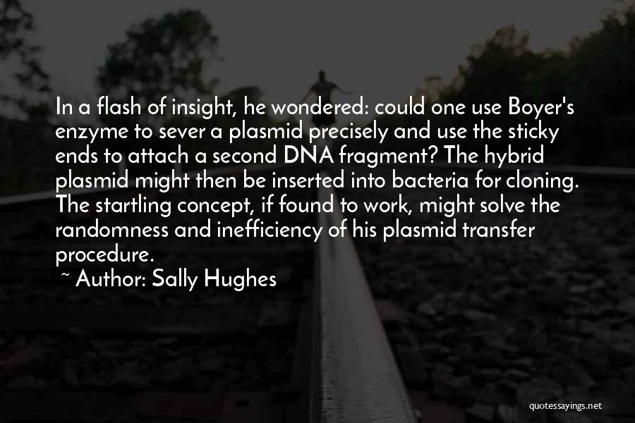 Sally Hughes Quotes 1109666