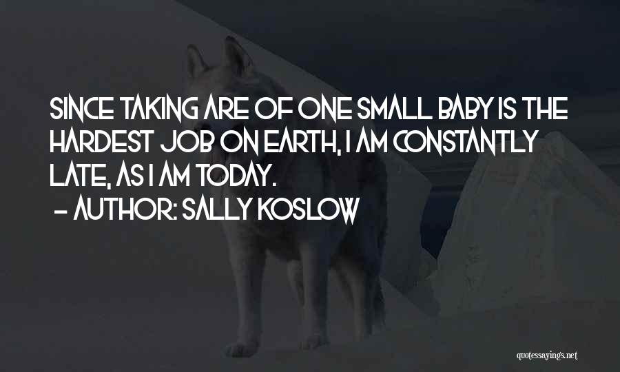 Sally Koslow Quotes 905601