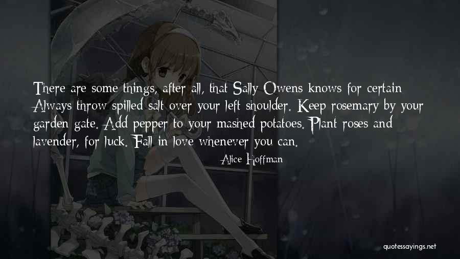 Sally Owens Quotes By Alice Hoffman Sally Owens Quotes By Alice Hoffman