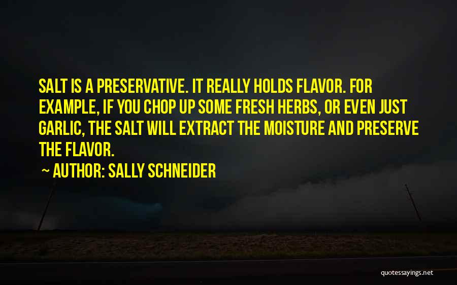 Sally Schneider Quotes 2148464