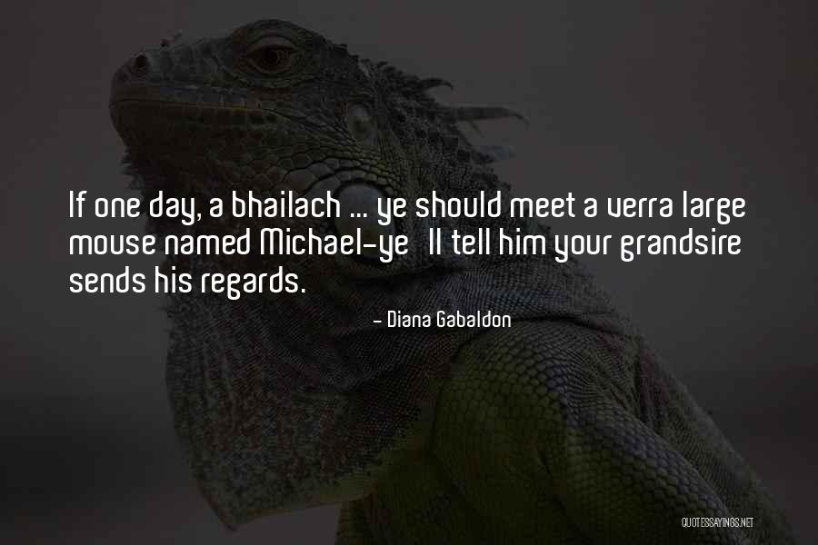 Sallys Beauty Salon Quotes By Diana Gabaldon Sallys Beauty Salon Quotes By Diana Gabaldon