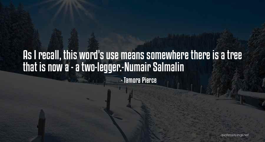 Salmalin Quotes By Tamora Pierce Salmalin Quotes By Tamora Pierce