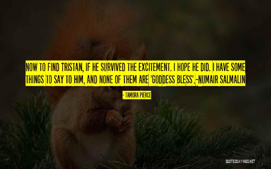 Salmalin Quotes By Tamora Pierce Salmalin Quotes By Tamora Pierce
