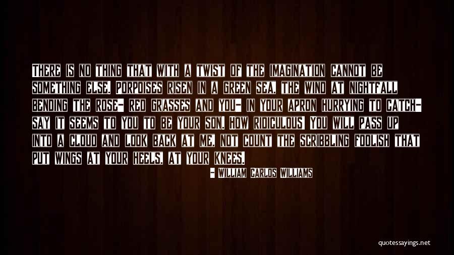 Salman Khan Jail Quotes By William Carlos Williams Salman Khan Jail Quotes By William Carlos Williams