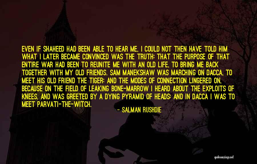 Salman Rushdie Quotes 1831245