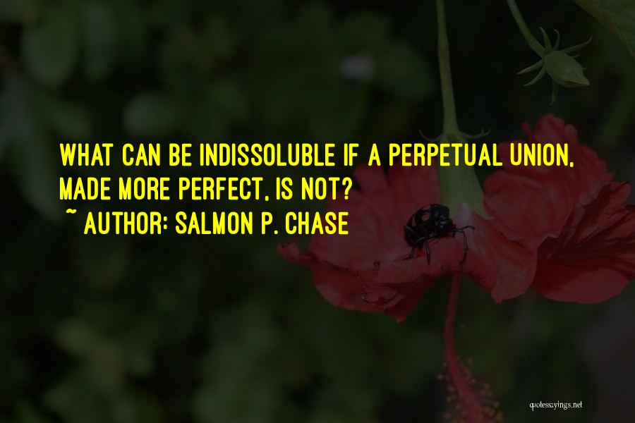 Salmon P. Chase Quotes 1915289