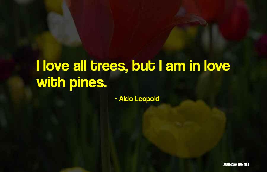 Salpicadero Imagenes Quotes By Aldo Leopold Salpicadero Imagenes Quotes By Aldo Leopold