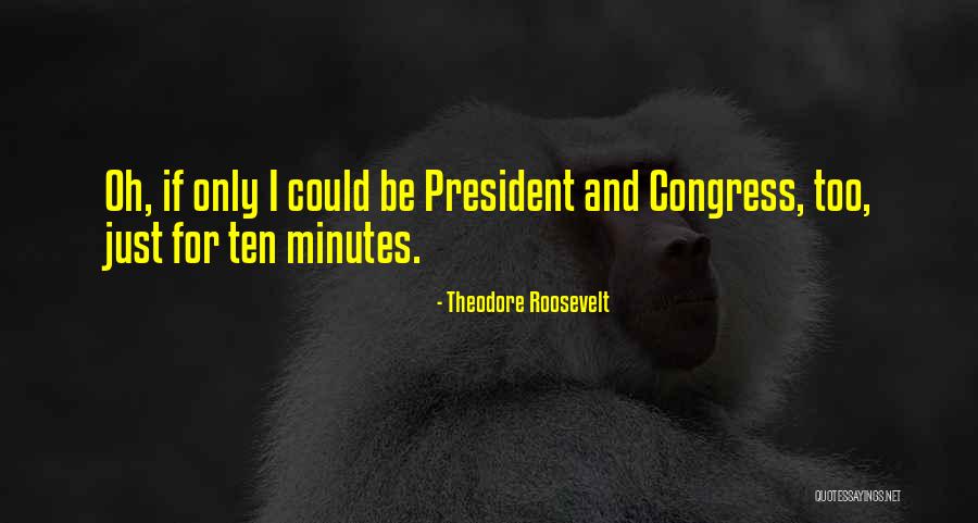 Salpicaderos Quotes By Theodore Roosevelt Salpicaderos Quotes By Theodore Roosevelt