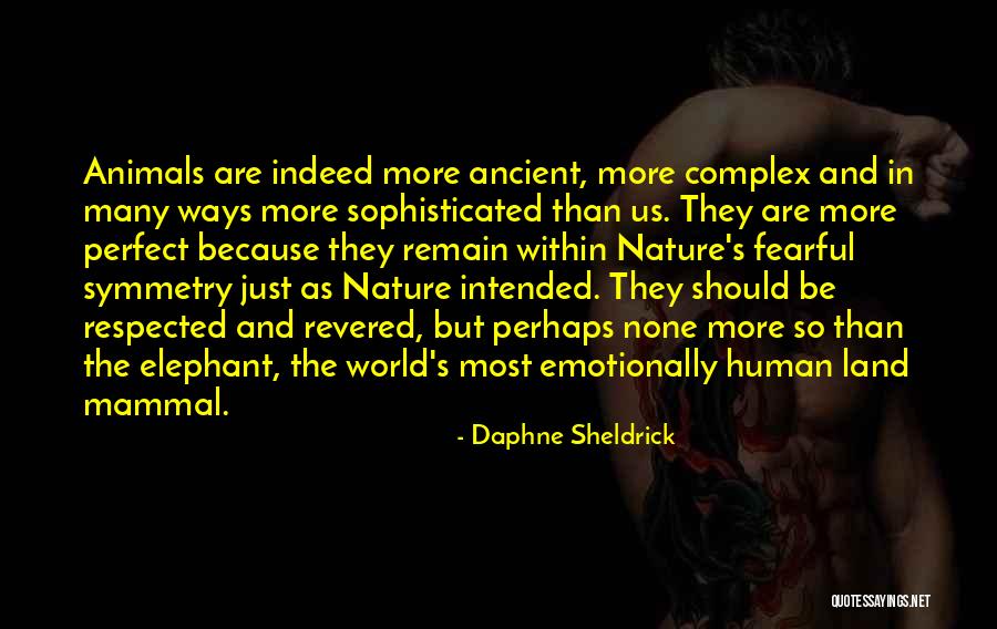 Salpicaduras Quotes By Daphne Sheldrick Salpicaduras Quotes By Daphne Sheldrick